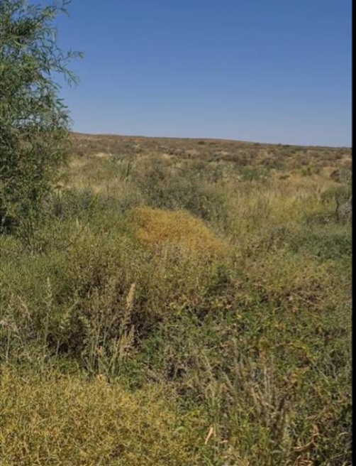 Commercial Property for Sale in Brandvlei Northern Cape
